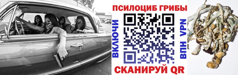 наркошоп  Аша  Псилоцибиновые грибы Cubensis 