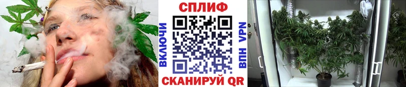 ссылка на мегу ссылки  Аша  МАРИХУАНА Amnesia  где купить наркоту 